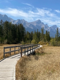 Walking path near the Malcolm Hotel