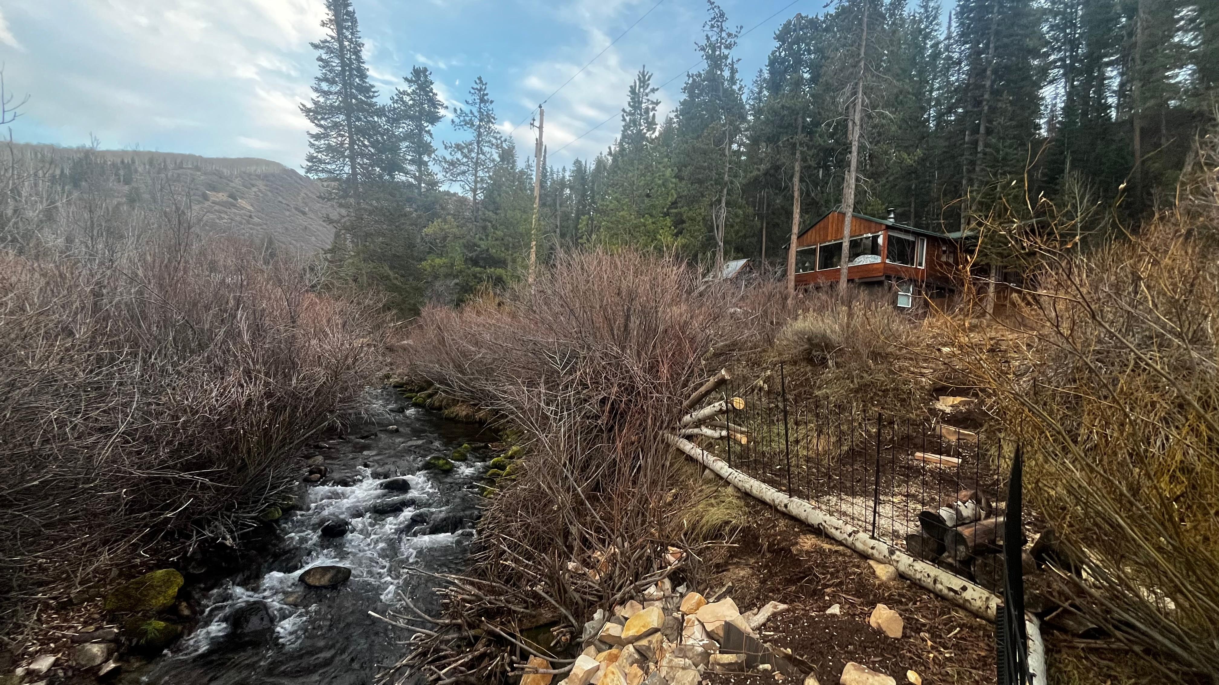 View from the stream 