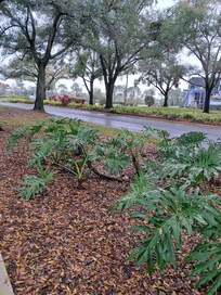 Outside the premises. Quiet and peaceful
