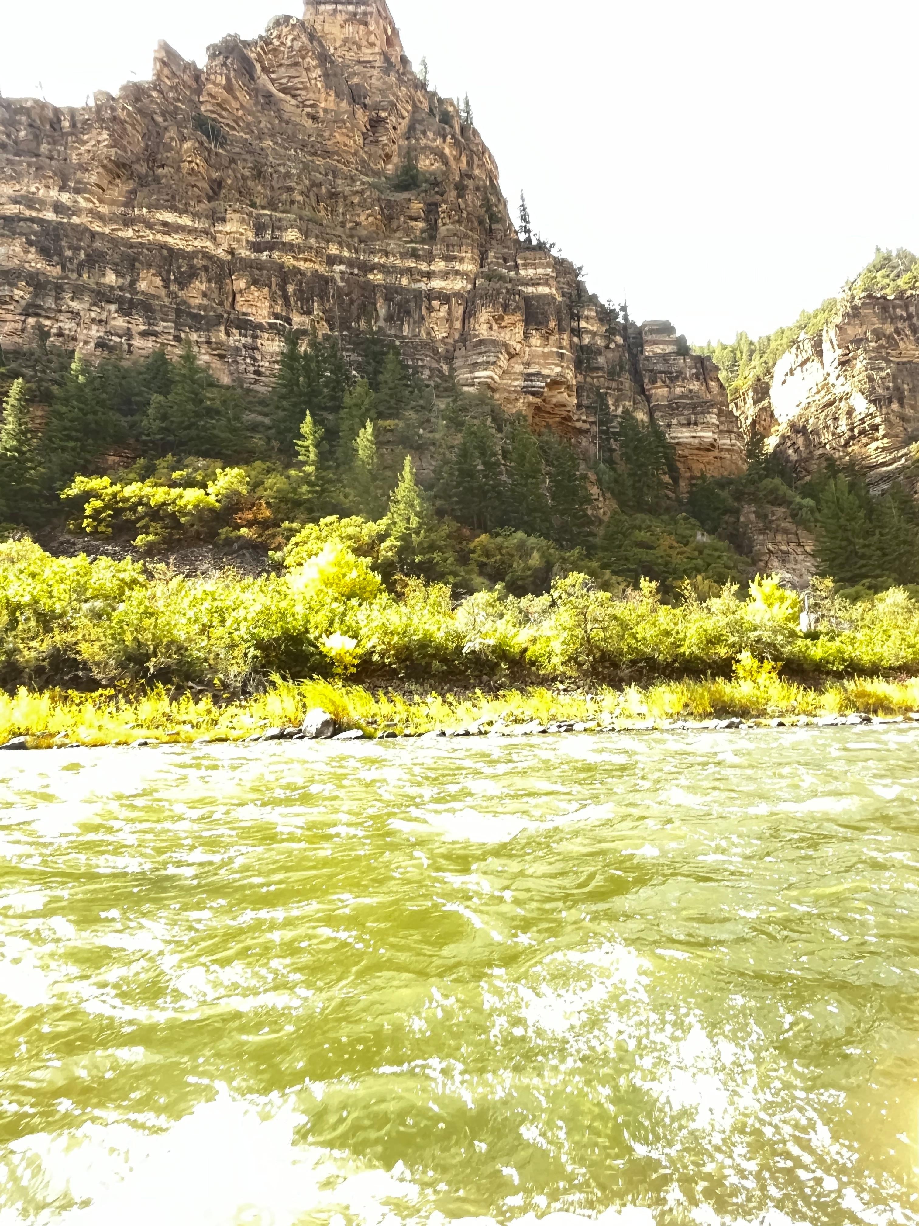 View from the river on our raft trip