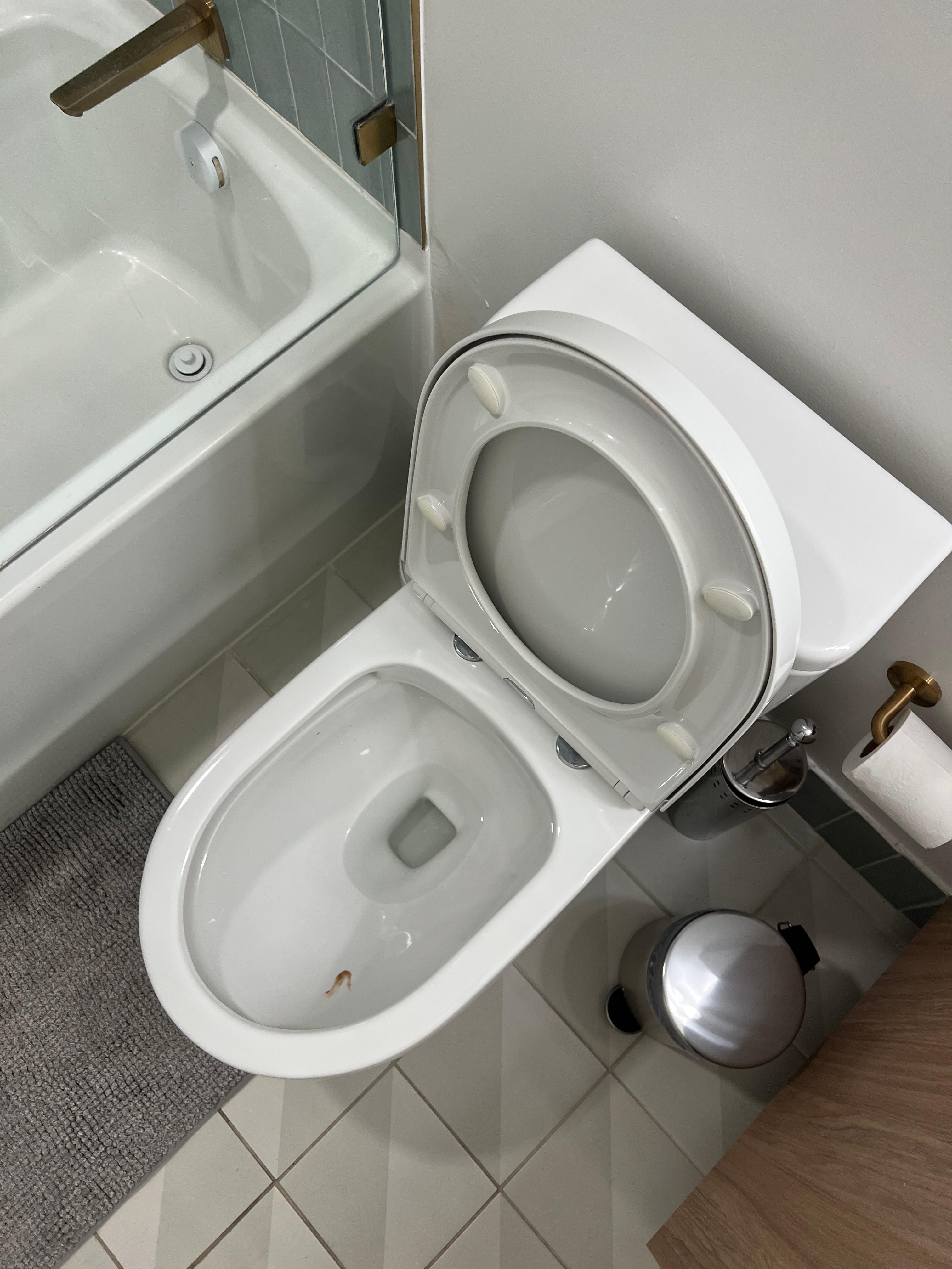 Dirt toilet from previous tenants