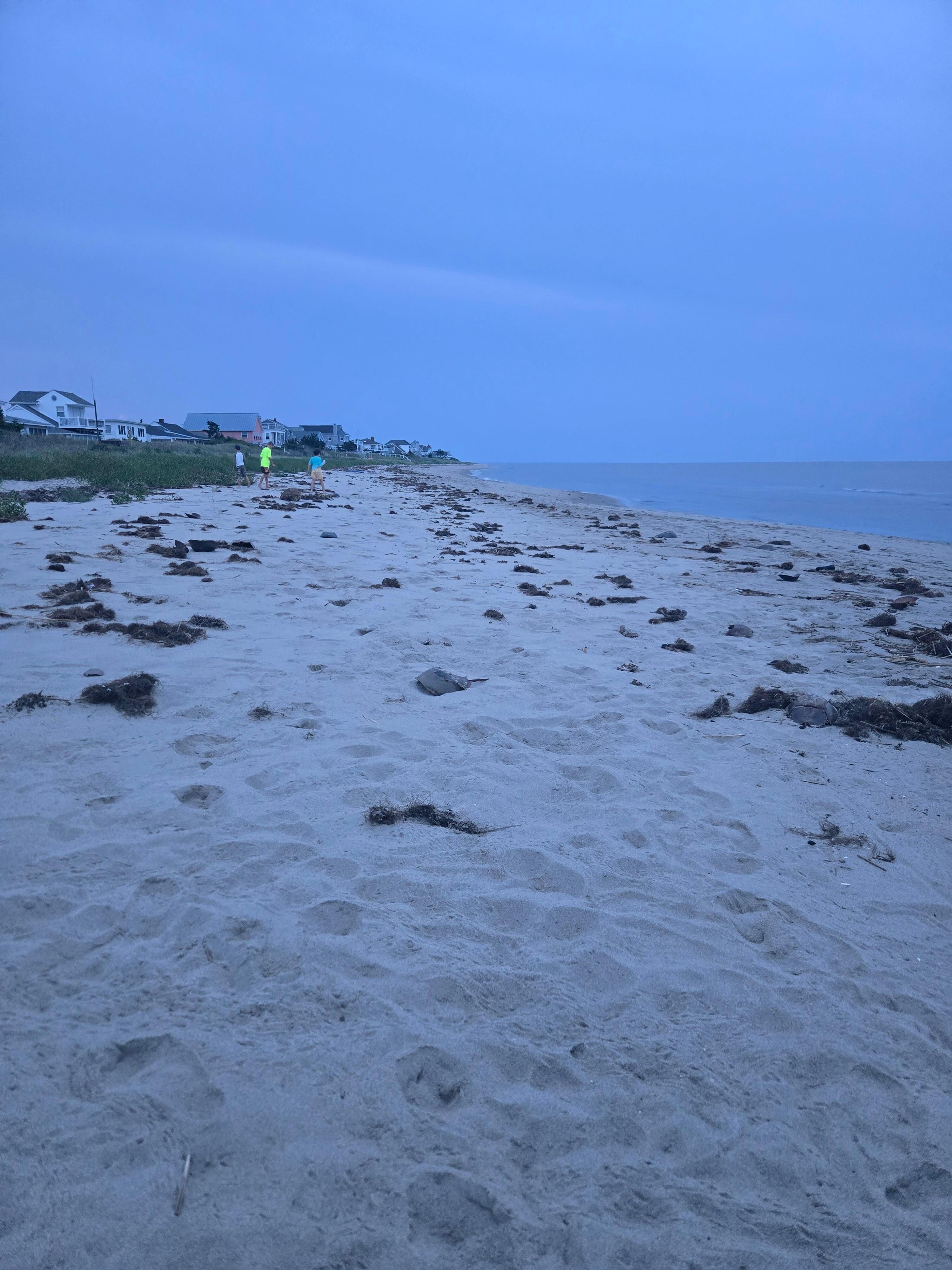 Kids running around the empty beach in the evening looking for crabs