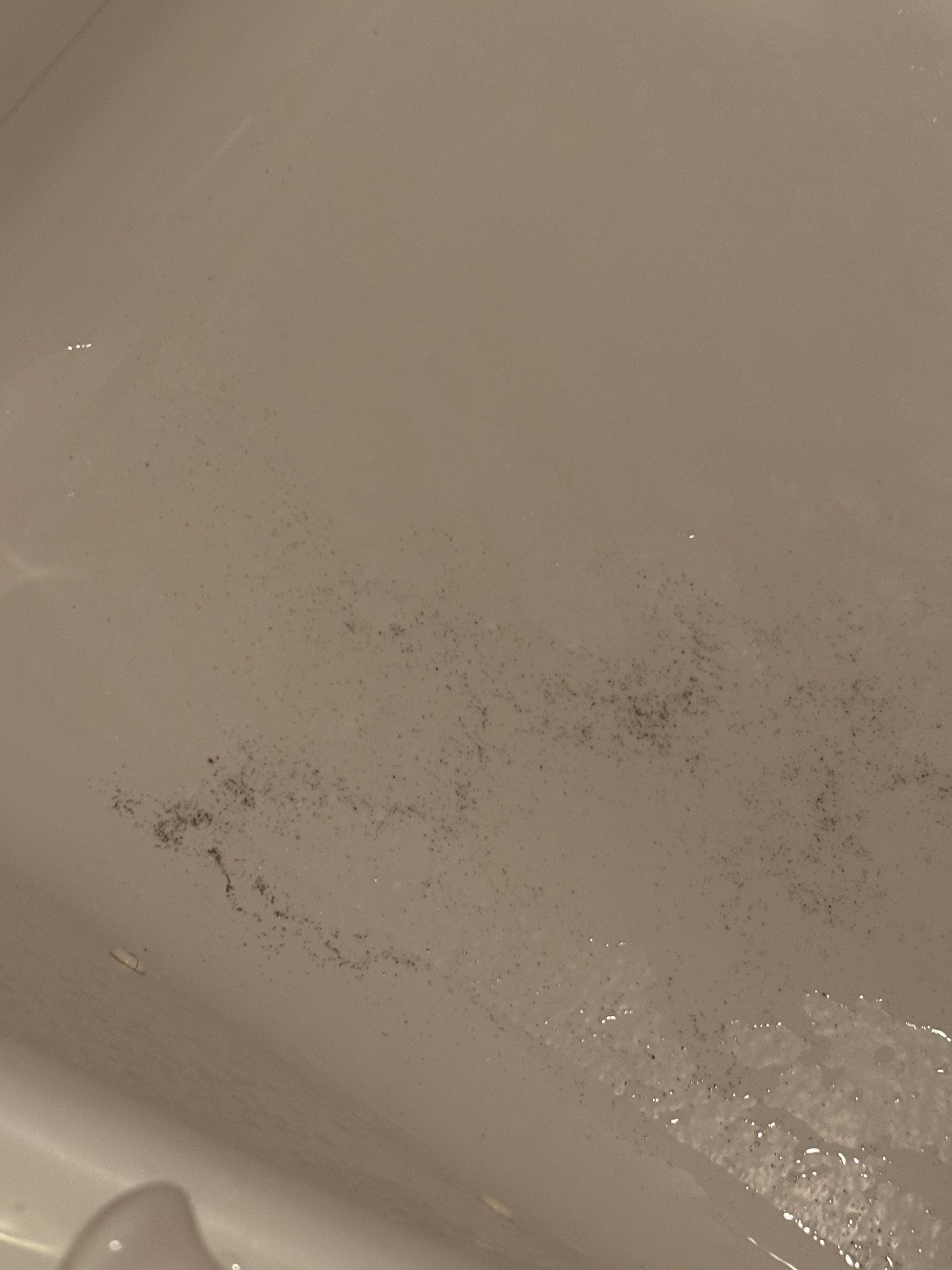 Bathtub full of hair and dirt