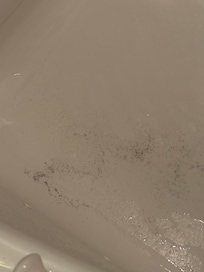 Bathtub full of hair and dirt