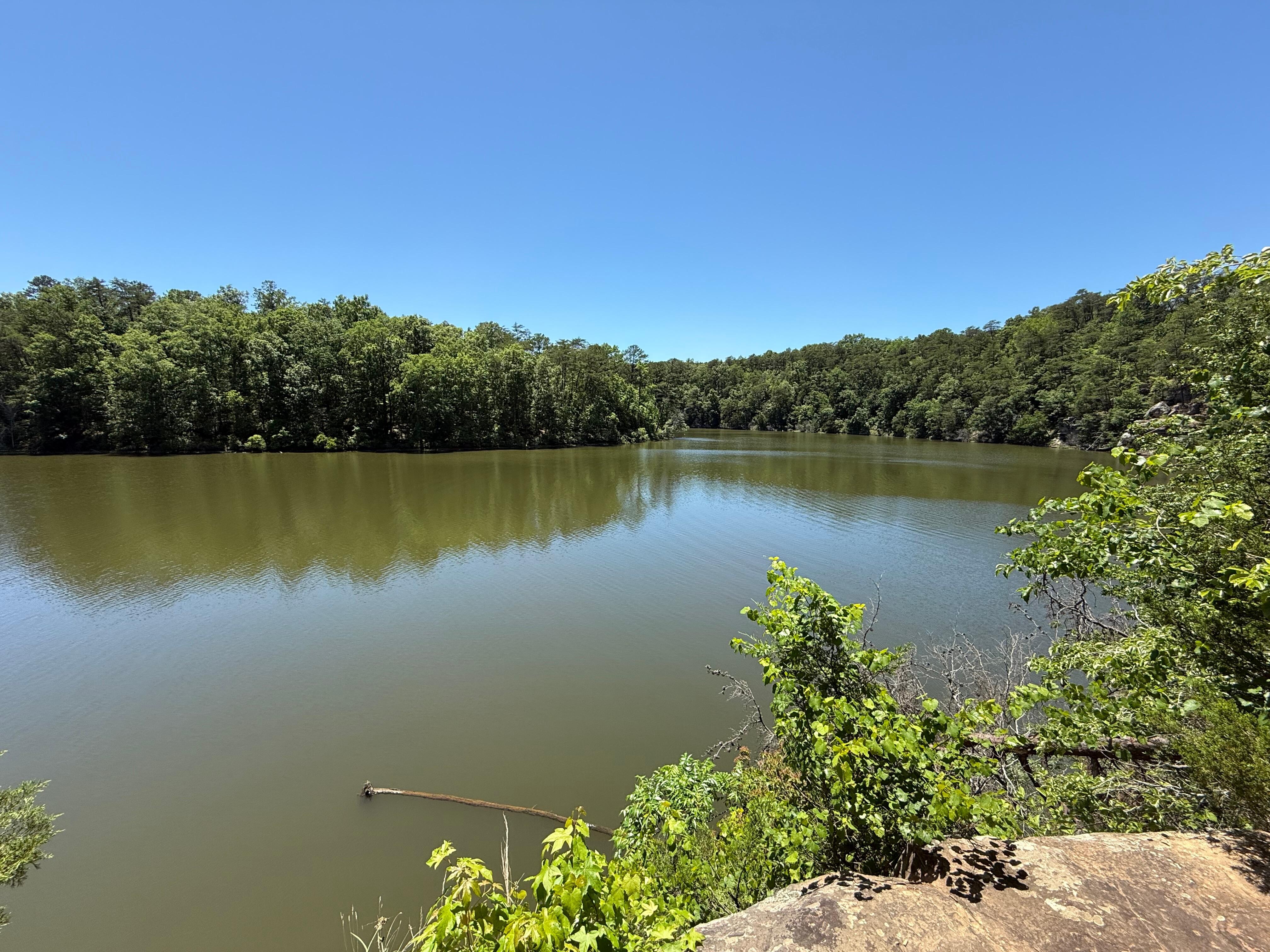 Nearby lake view (Nicol)