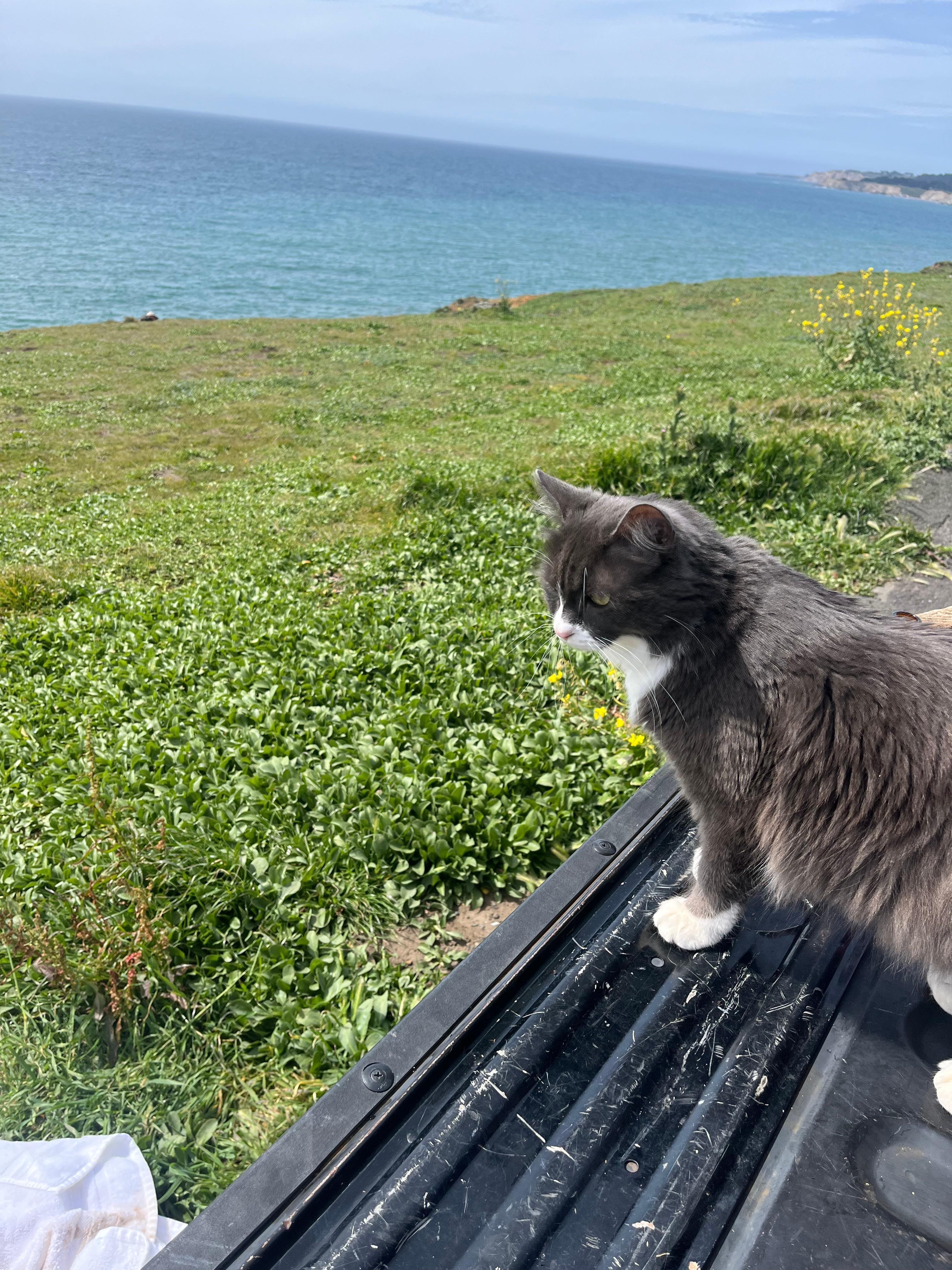 Out on an excursion ❤️