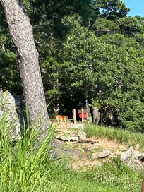 Mt. Nebo State Park
