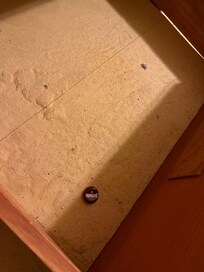 Dirty drawer