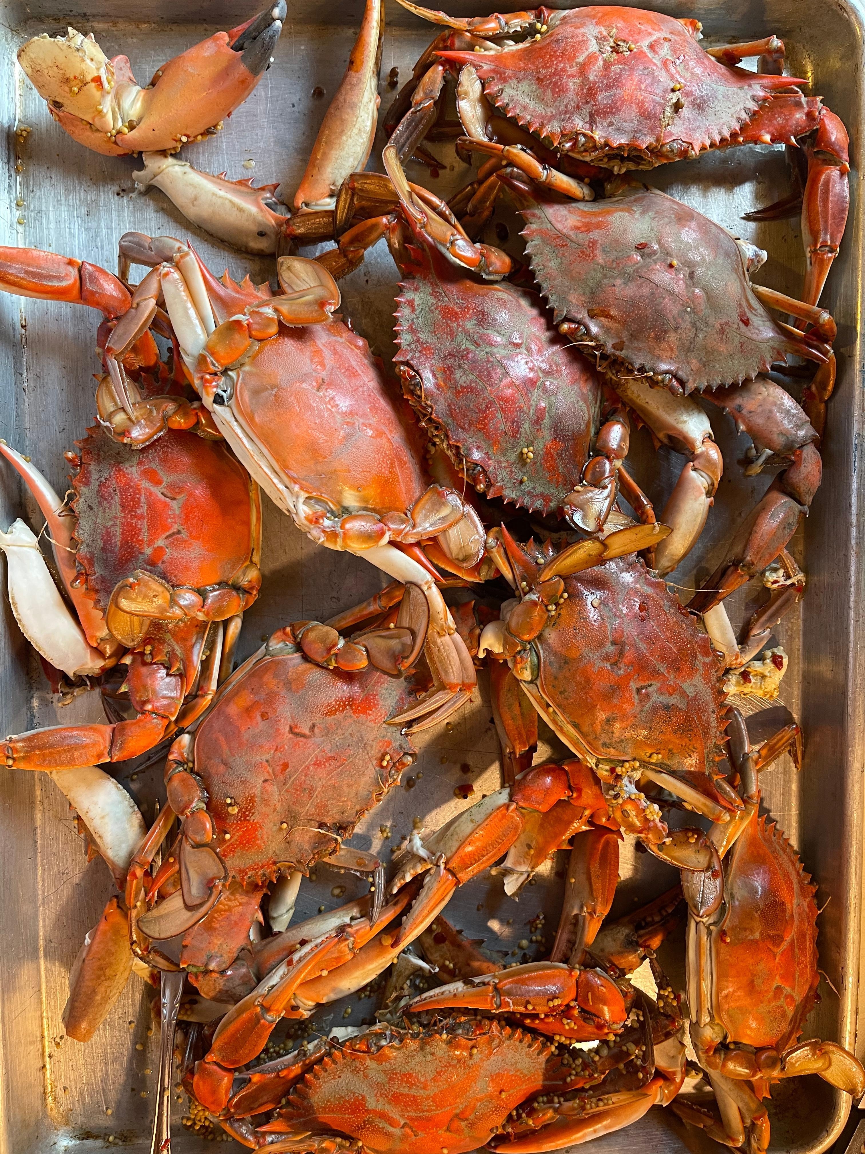 Blue crabs caught at the dock.