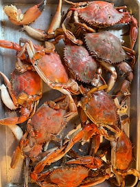 Blue crabs caught at the dock.