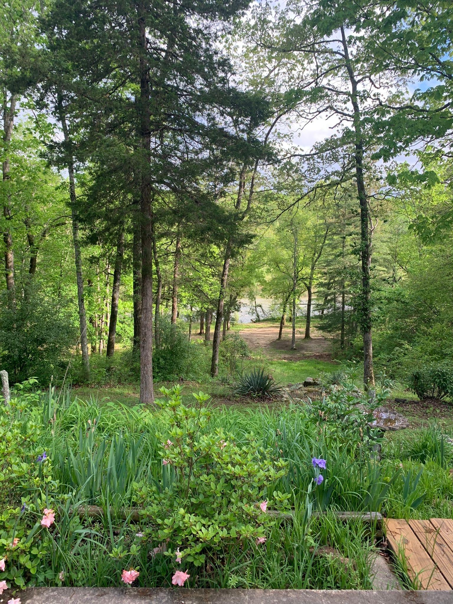 View of the river from the house.