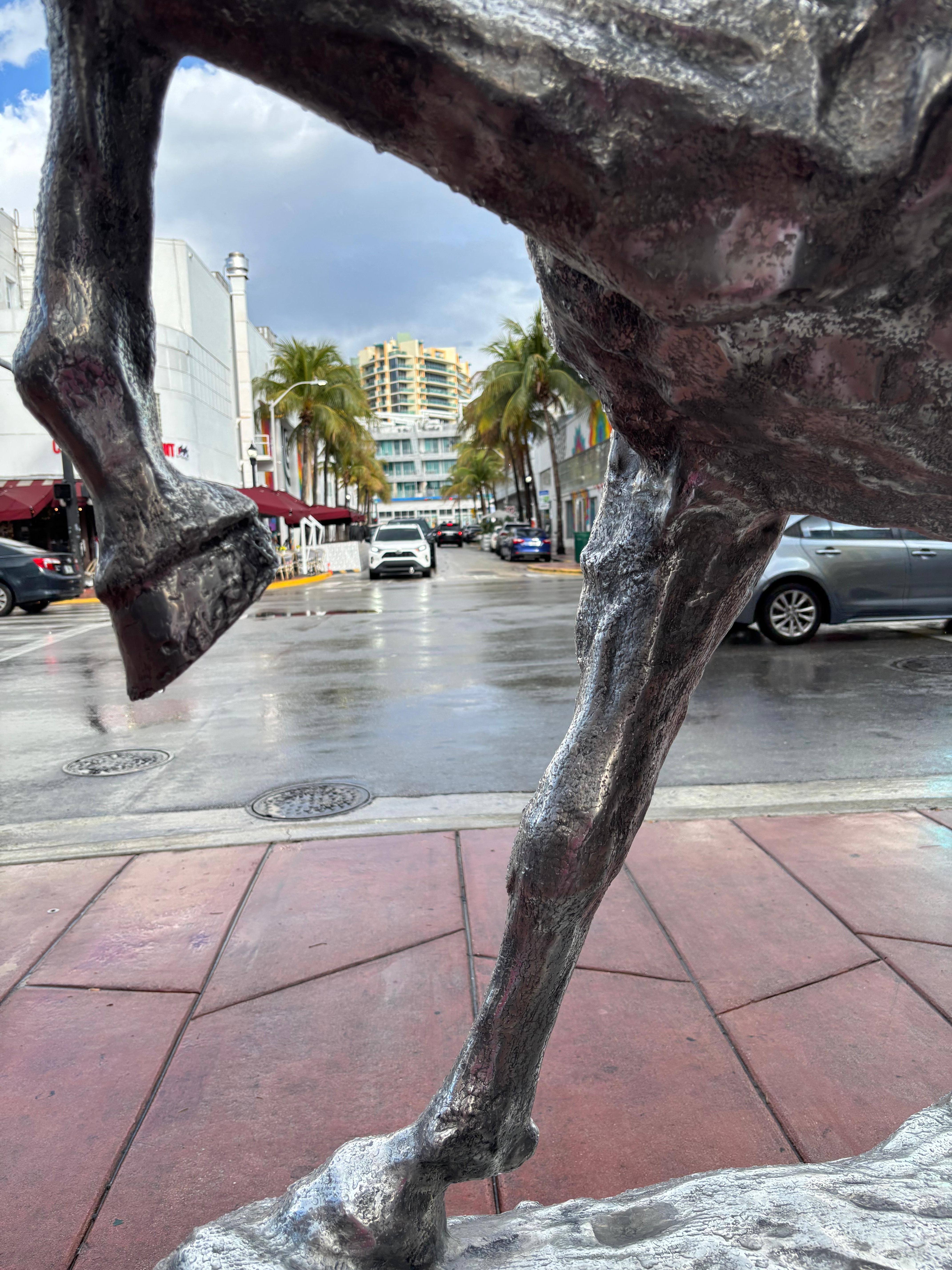 Miami Beach shopping