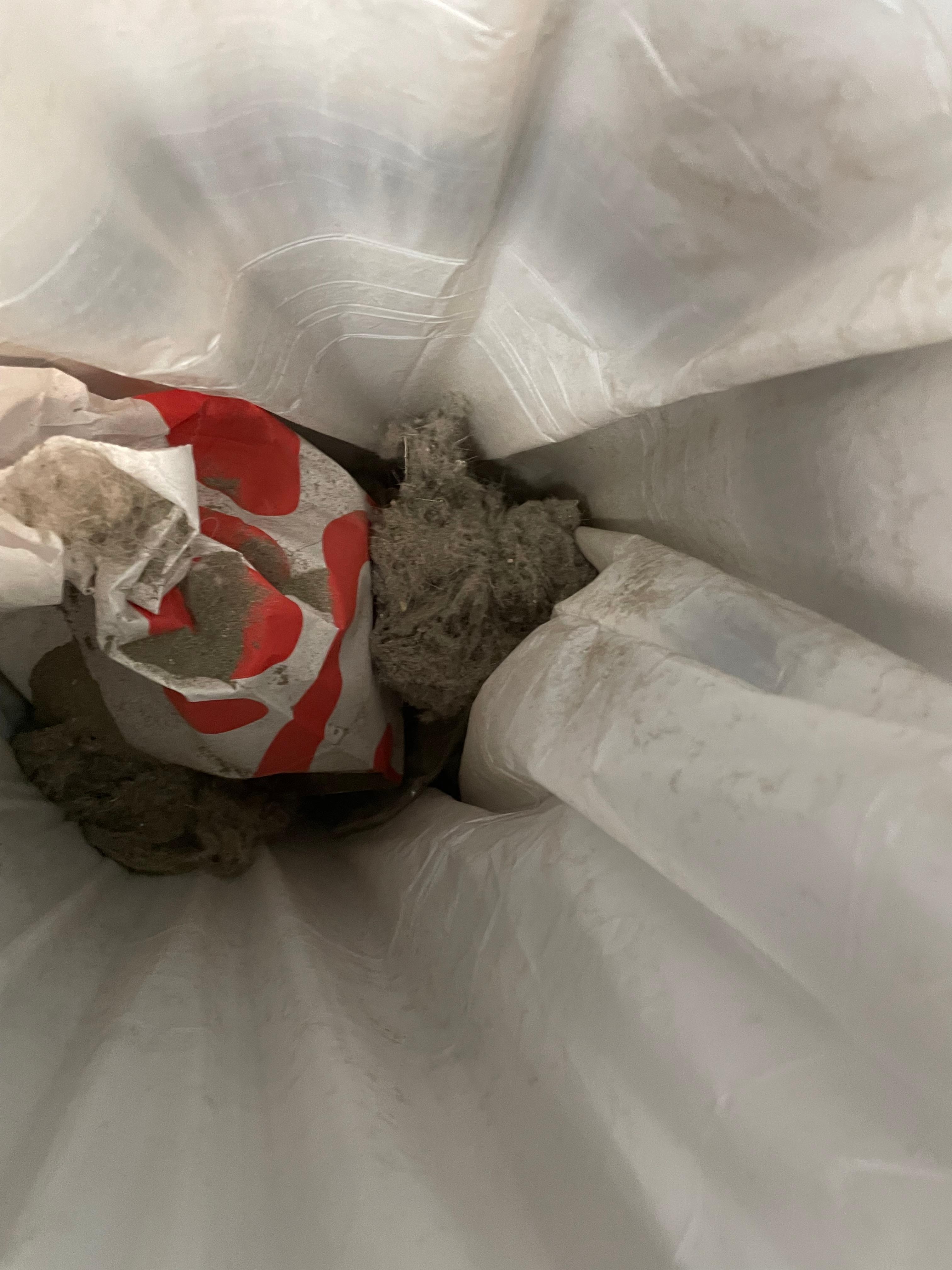Vacuum debris