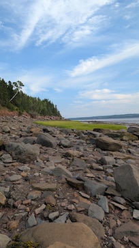 Beach at low tide. The mud was intense, but pretty fun if you didn't care about getting dirty