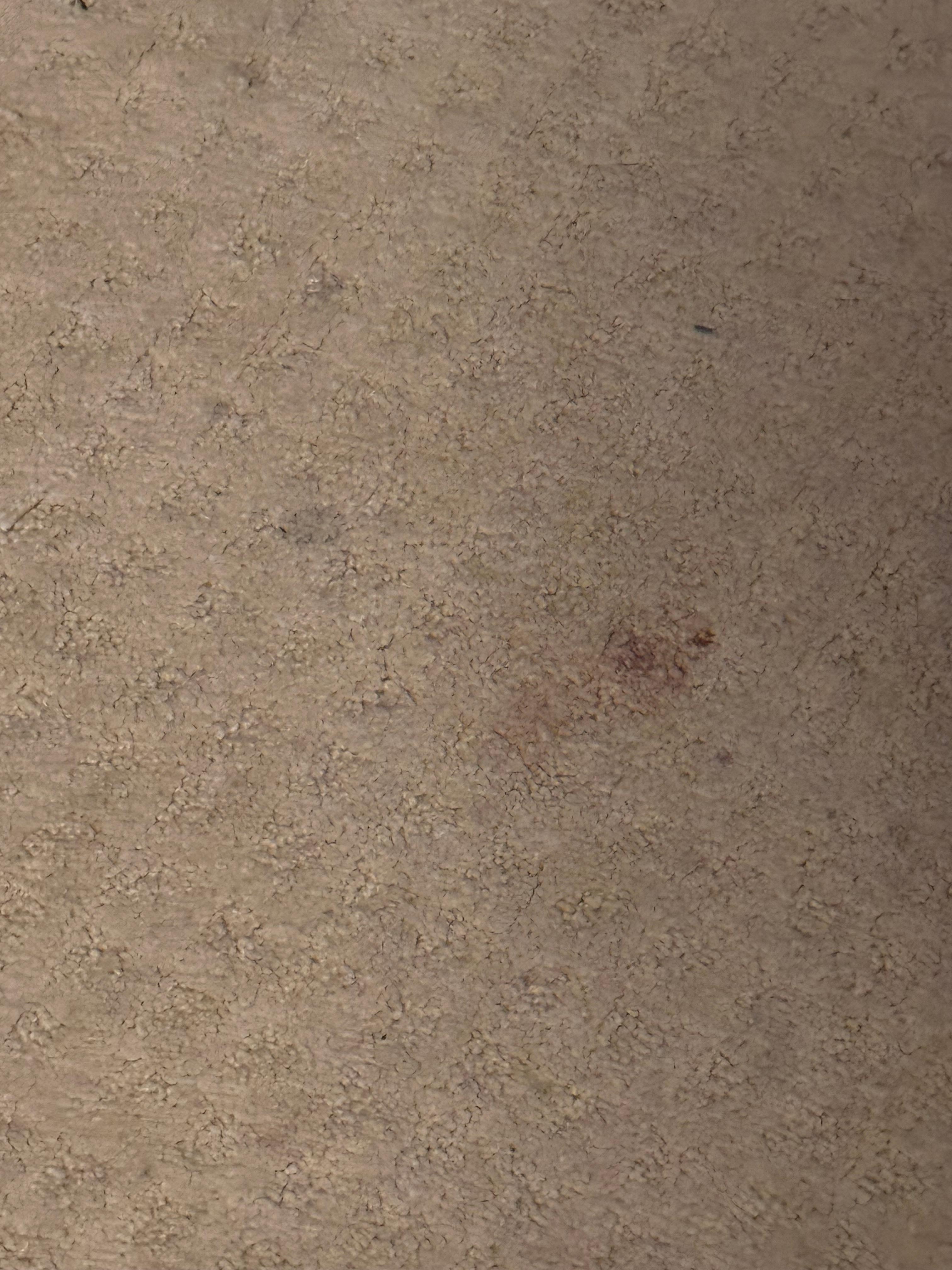Carpet stains