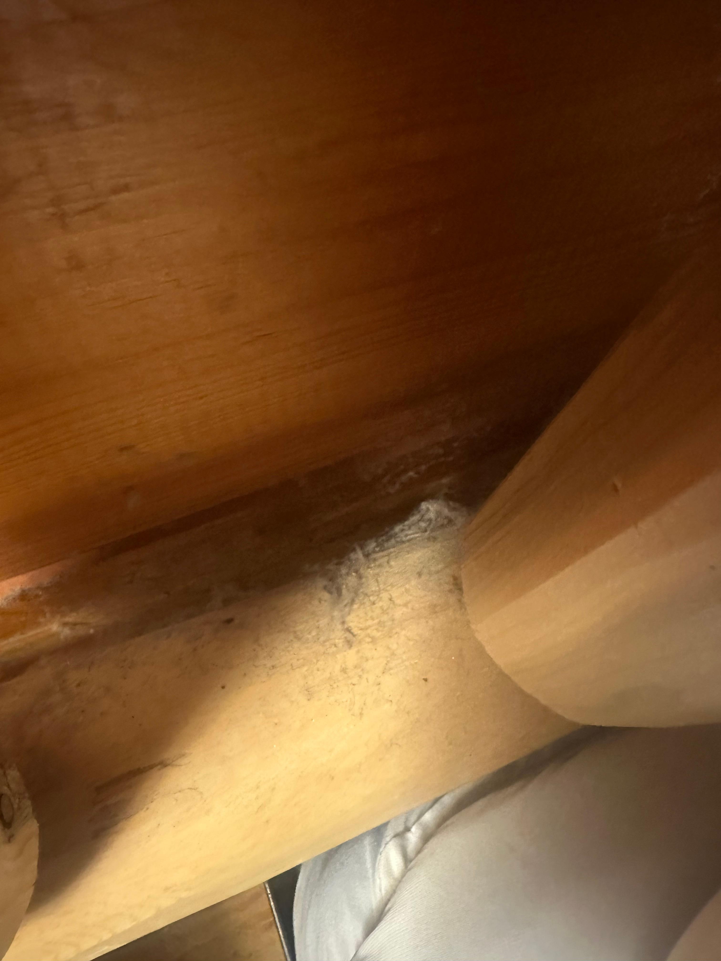 Thick layer of dust on the bed. 