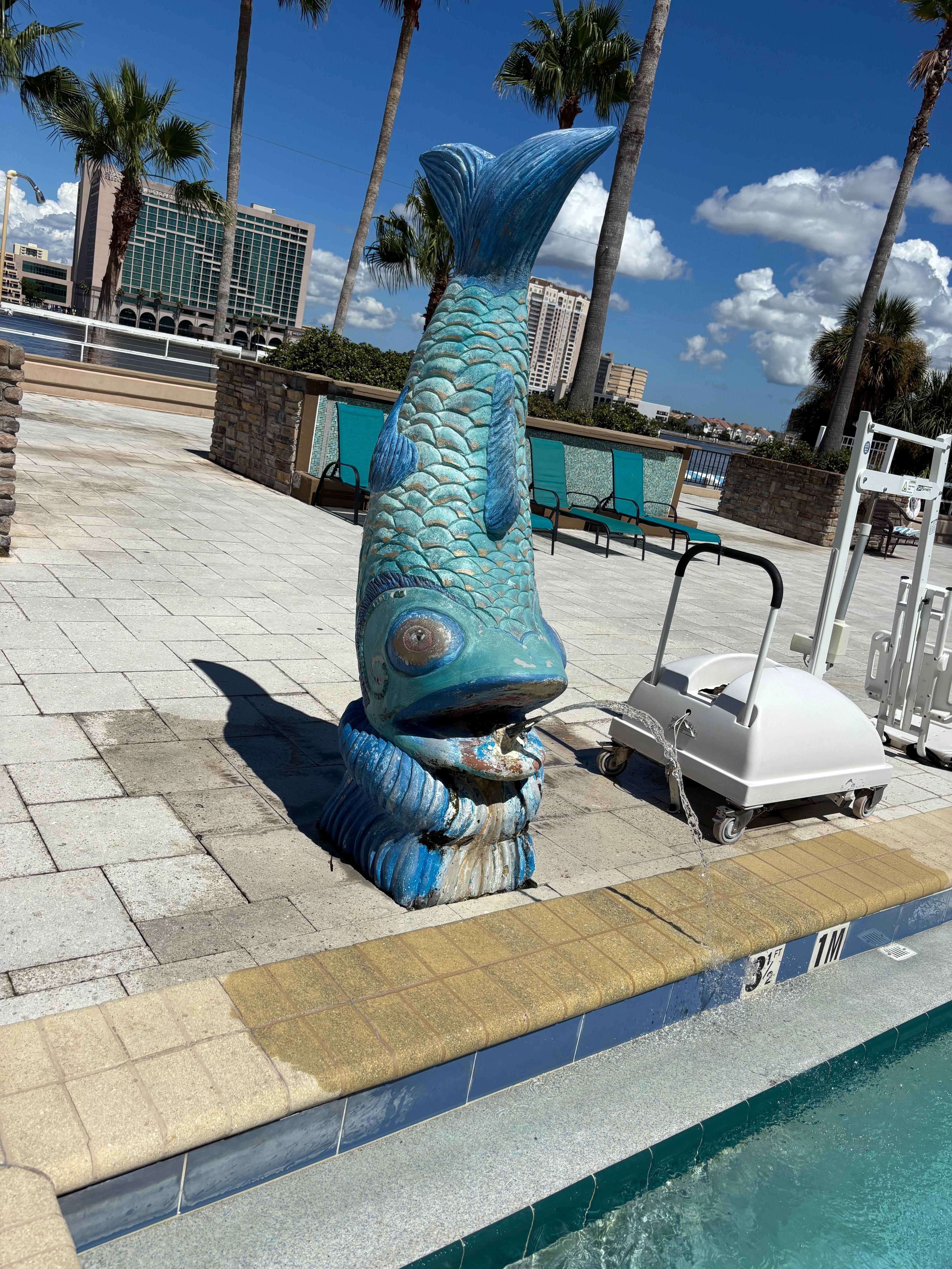 Black mold, needs paint