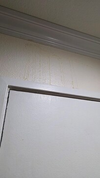Some random splatter right above our door and there were some on every single wall and ceiling