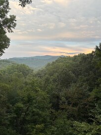 View from back porch after a rain storm.