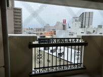 ホテルからの景色