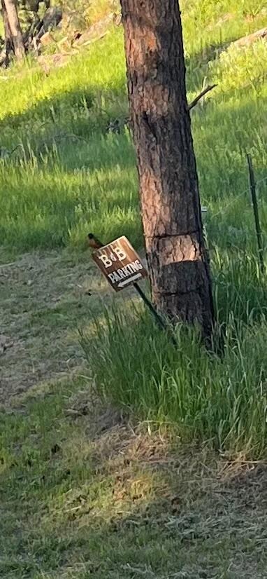 A marker for additional parking