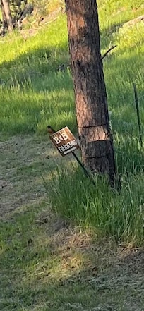 A marker for additional parking