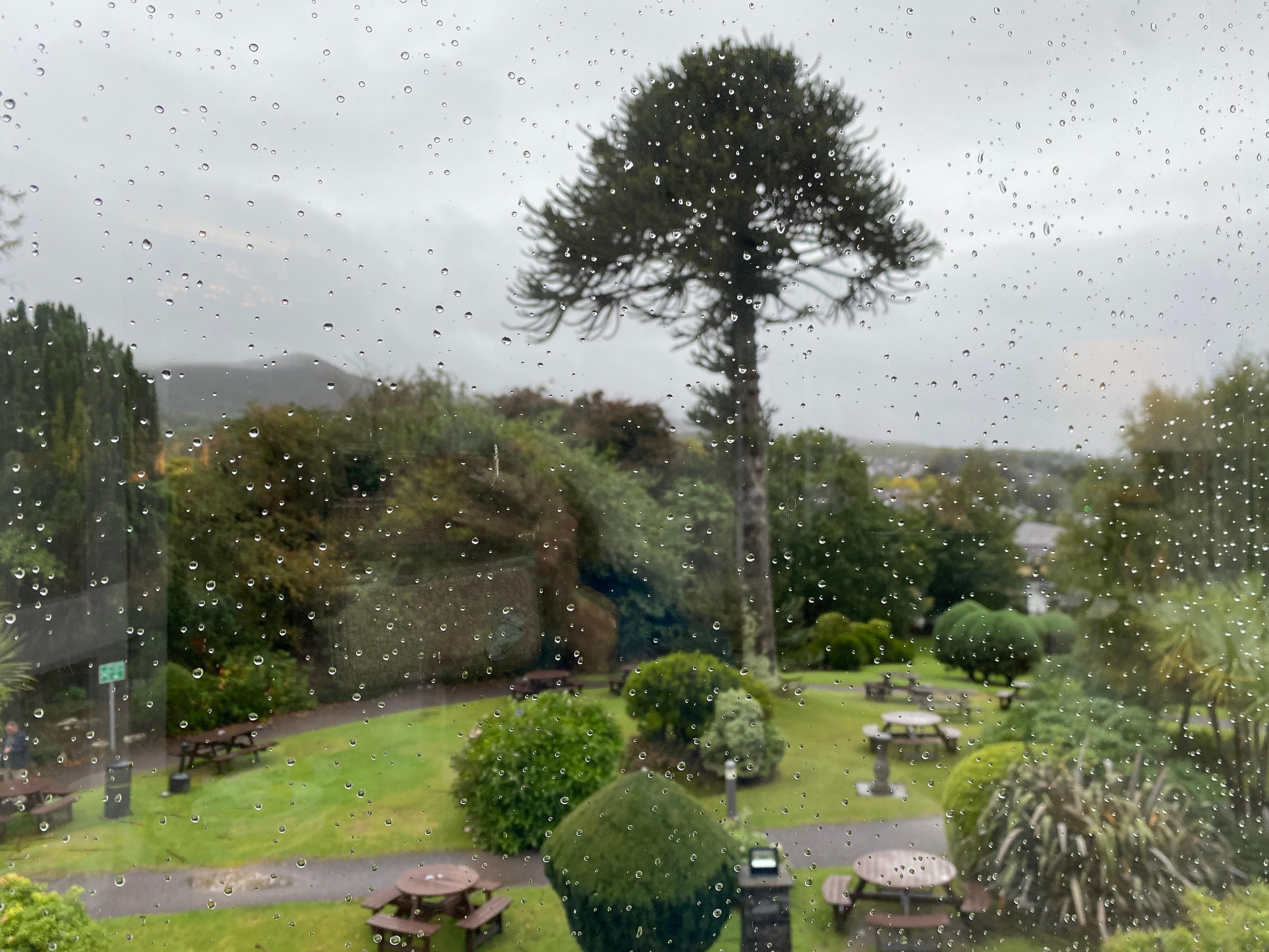 Beautiful view for breakfast 