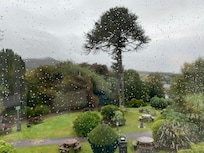 Beautiful view for breakfast