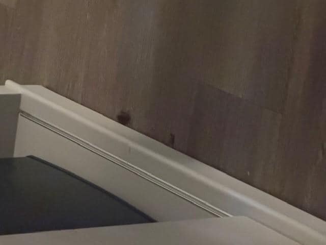 This is just one photo. The videos do not fit the size to upload.