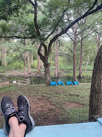 The view from the back patio.