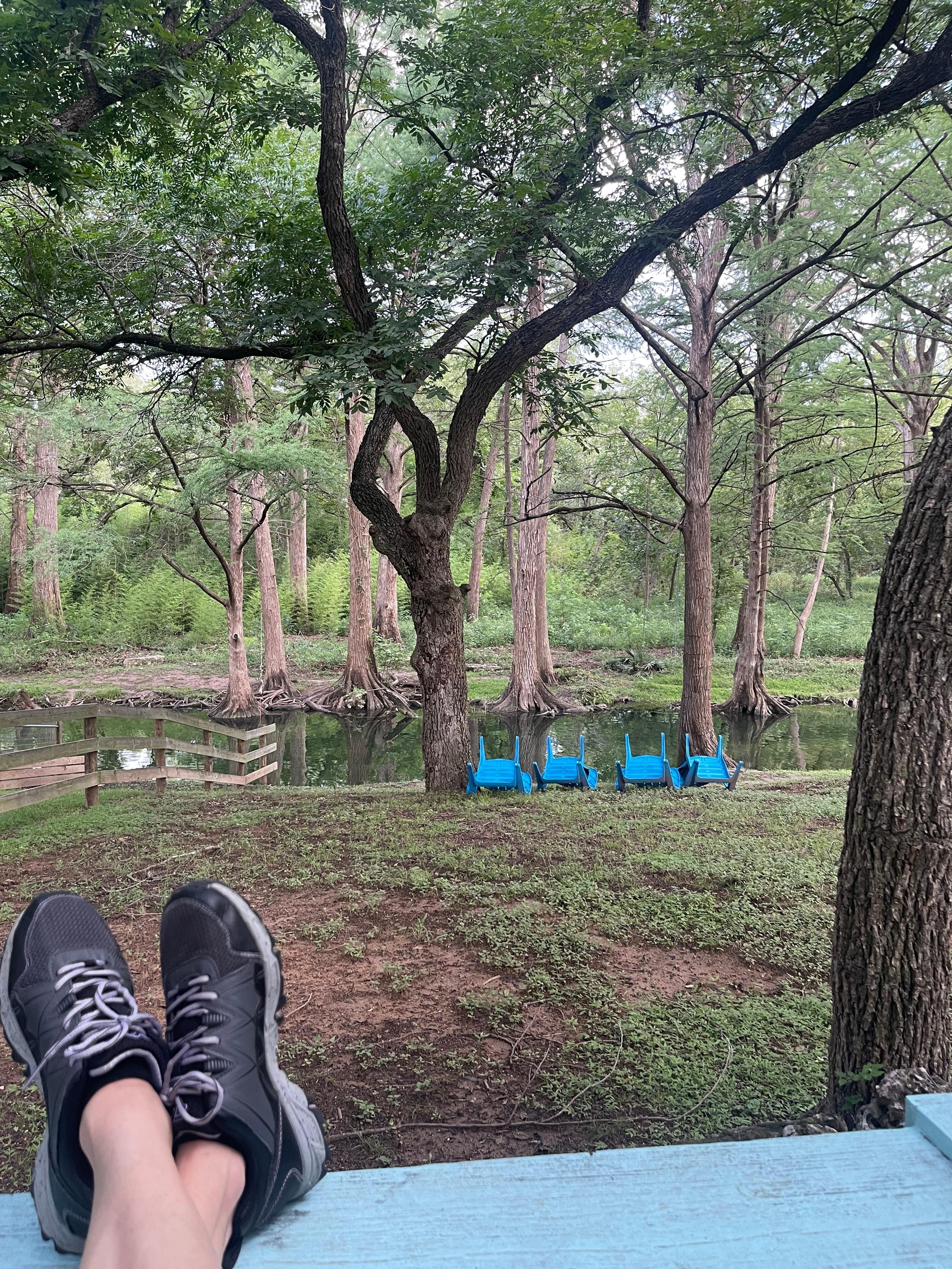 The view from the back patio. 