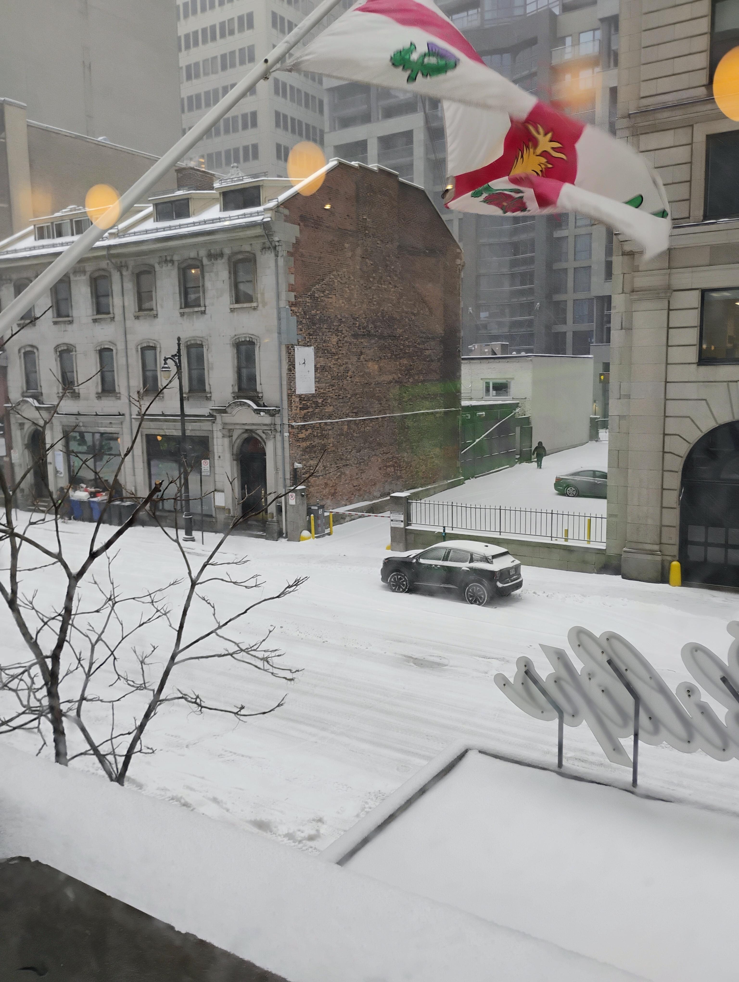 Cosy view from breakfast room as the snow returned.