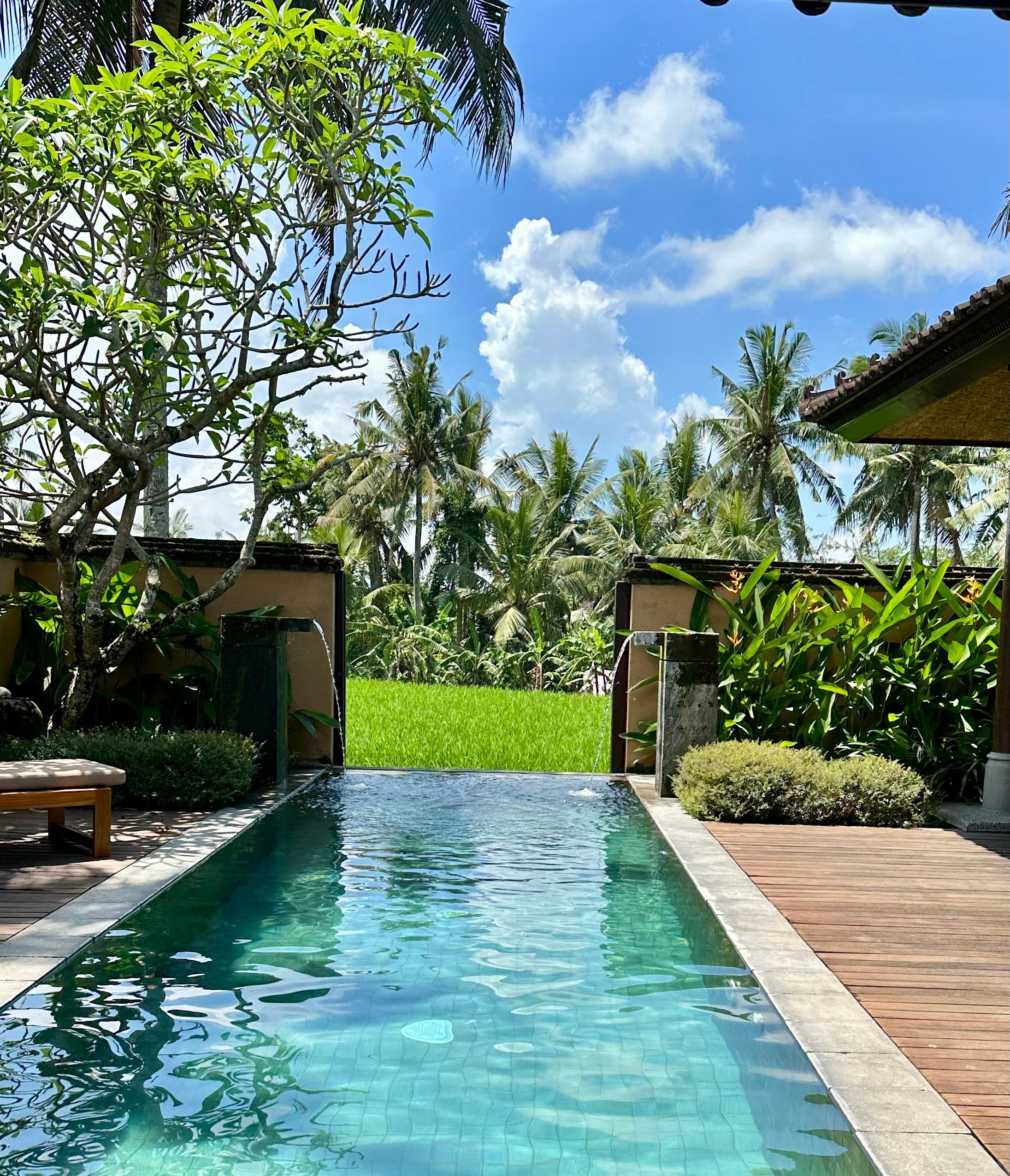Our own pool at the villa