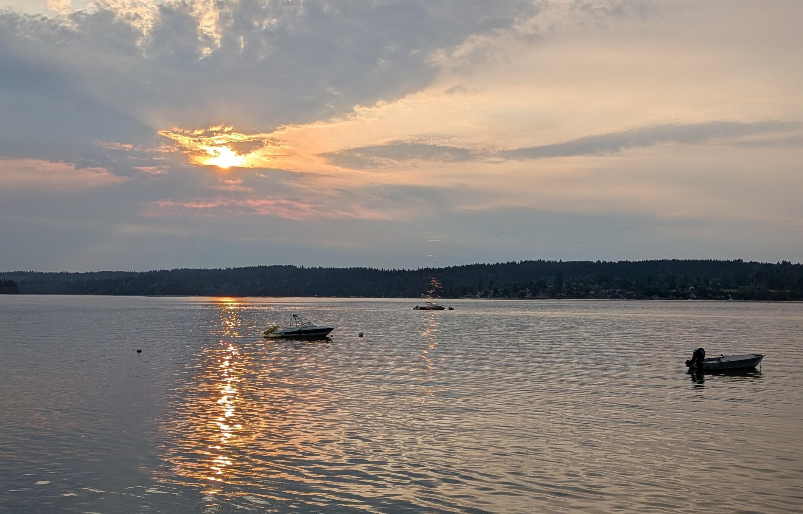 View from the house. 