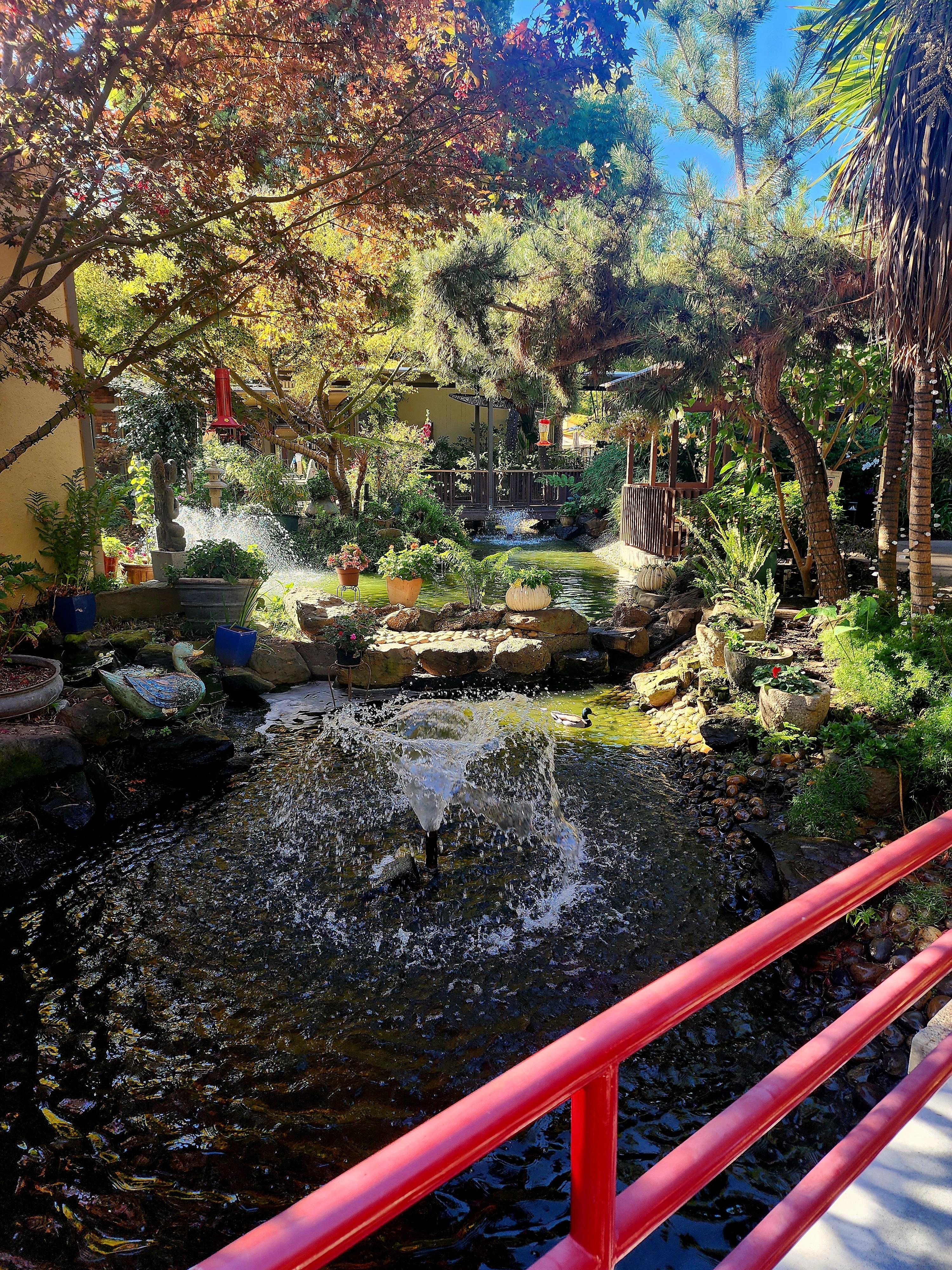 The lagoon in the center of the buildings