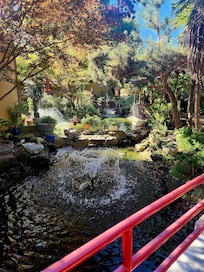 The lagoon in the center of the buildings