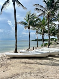 Beach area