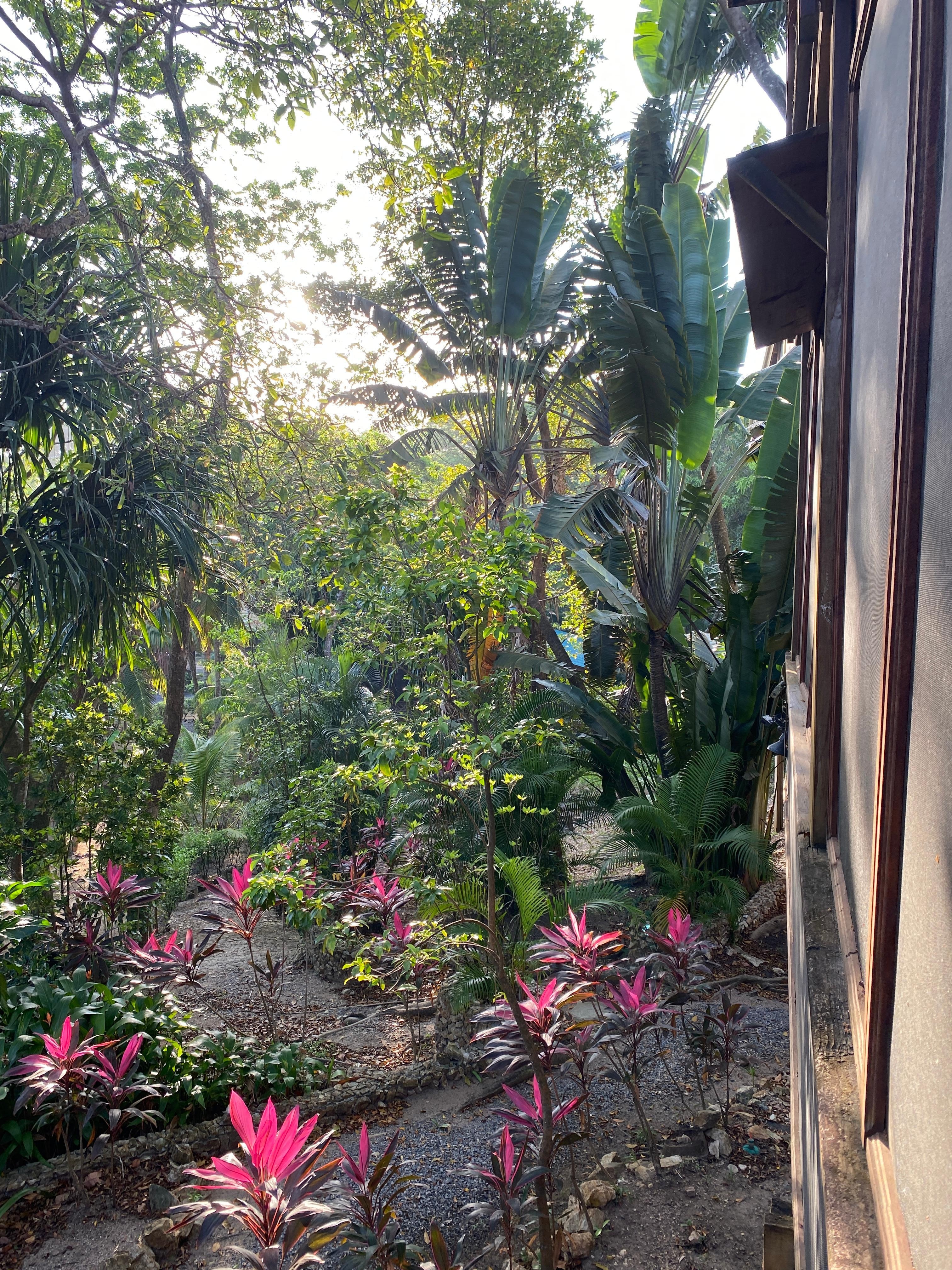 View from kitchen deck