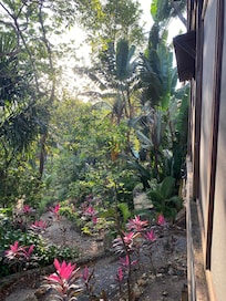 View from kitchen deck