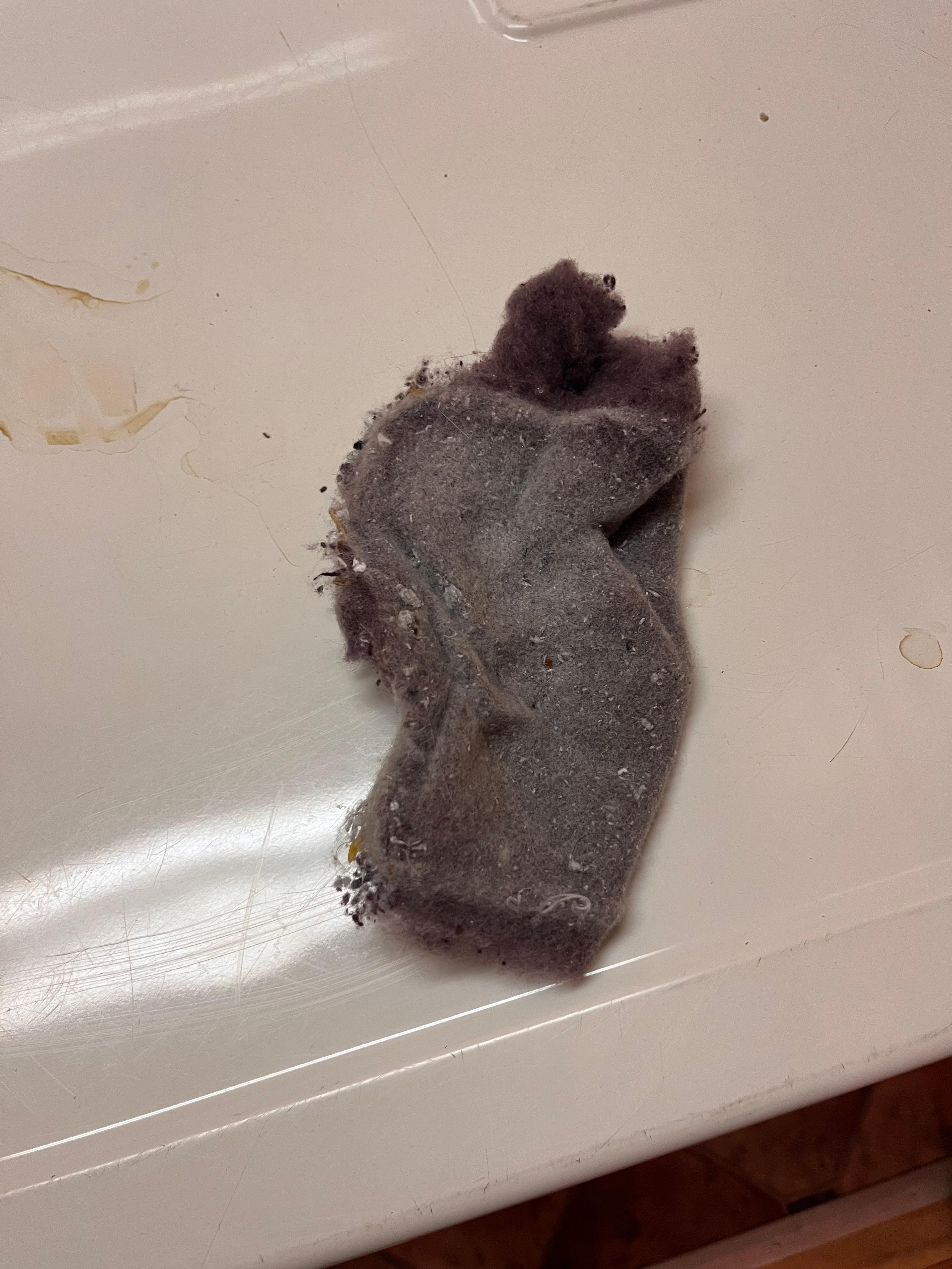 Lint from the dryer