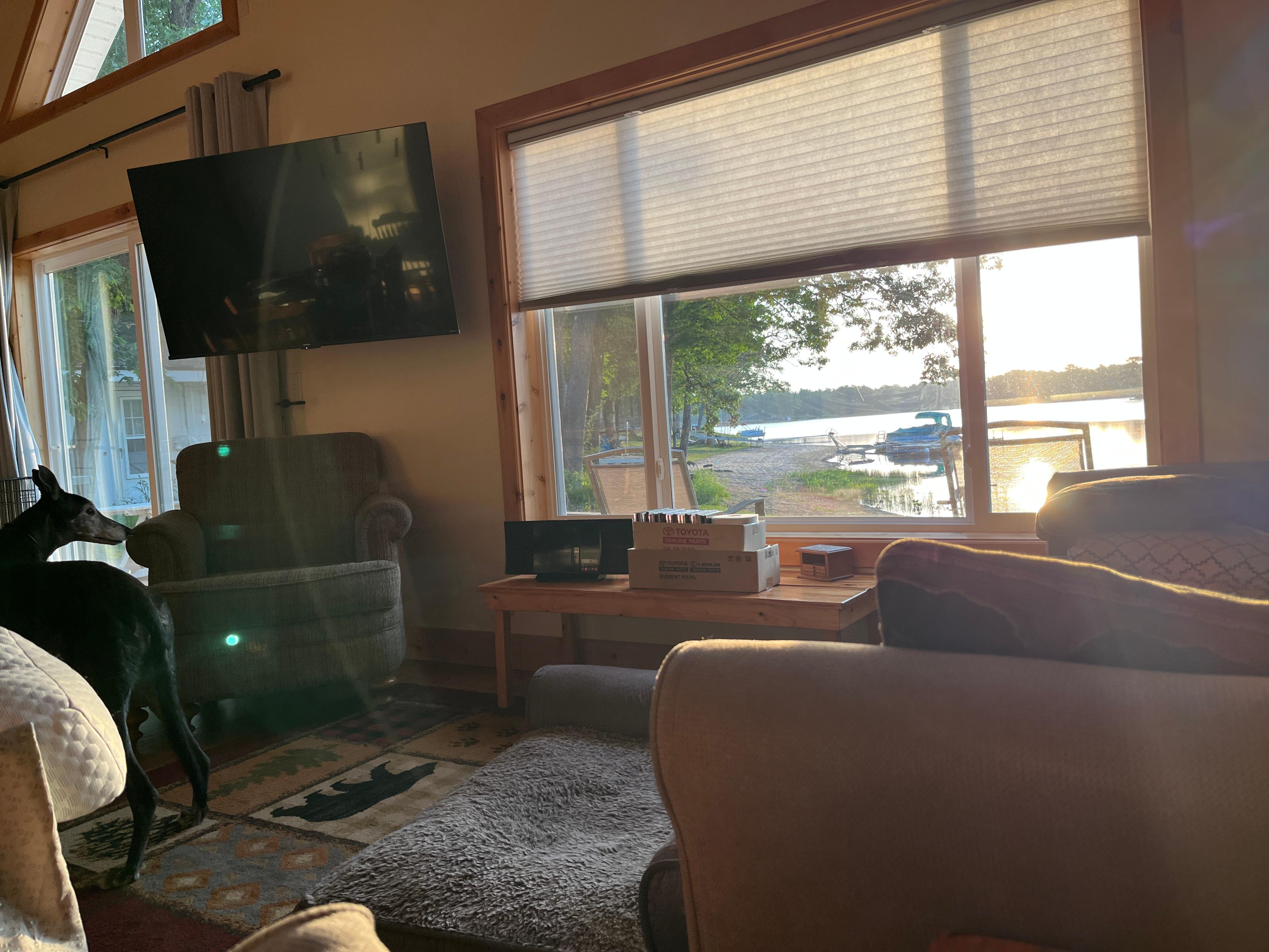 View from the comfortable living room