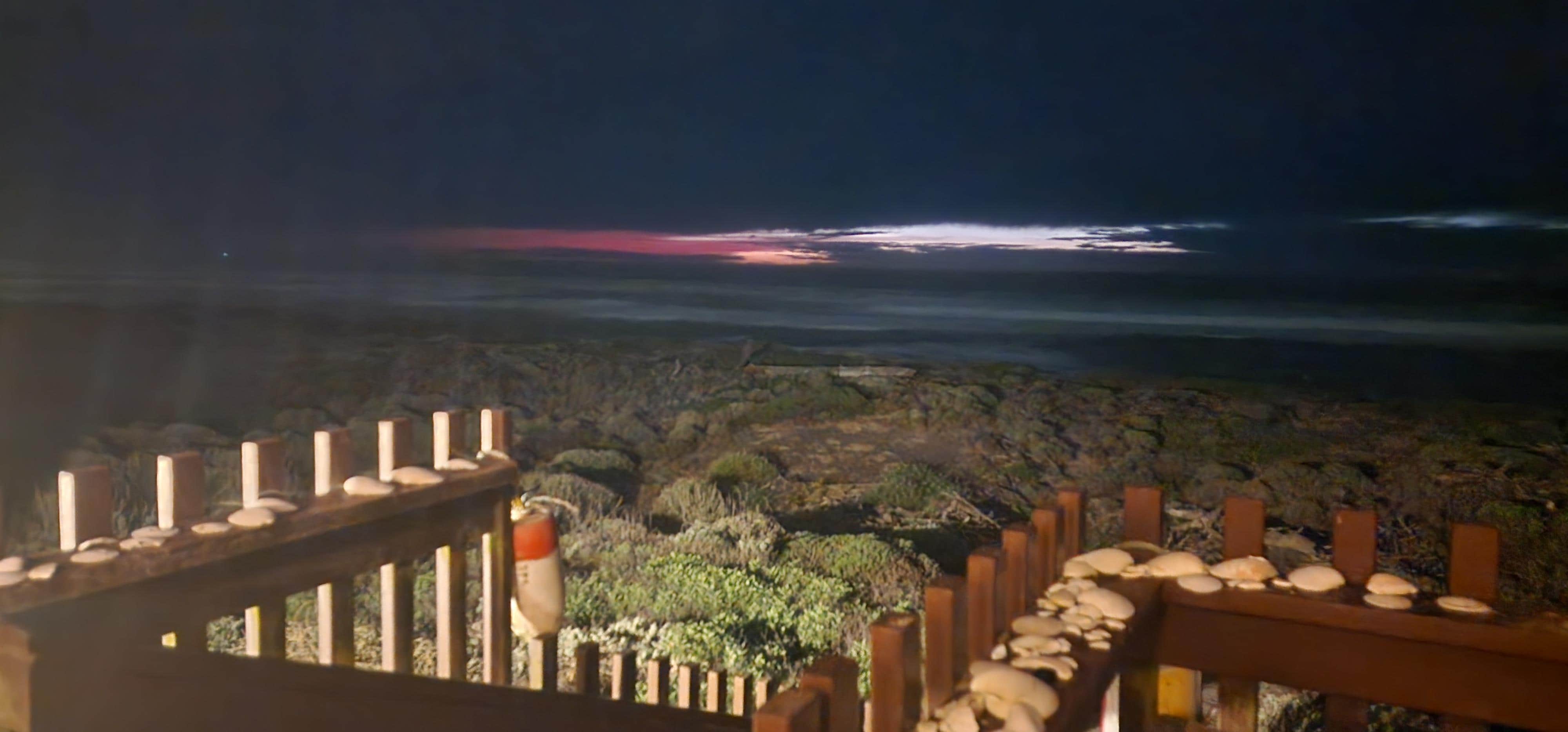 The photo only does it half the justice...