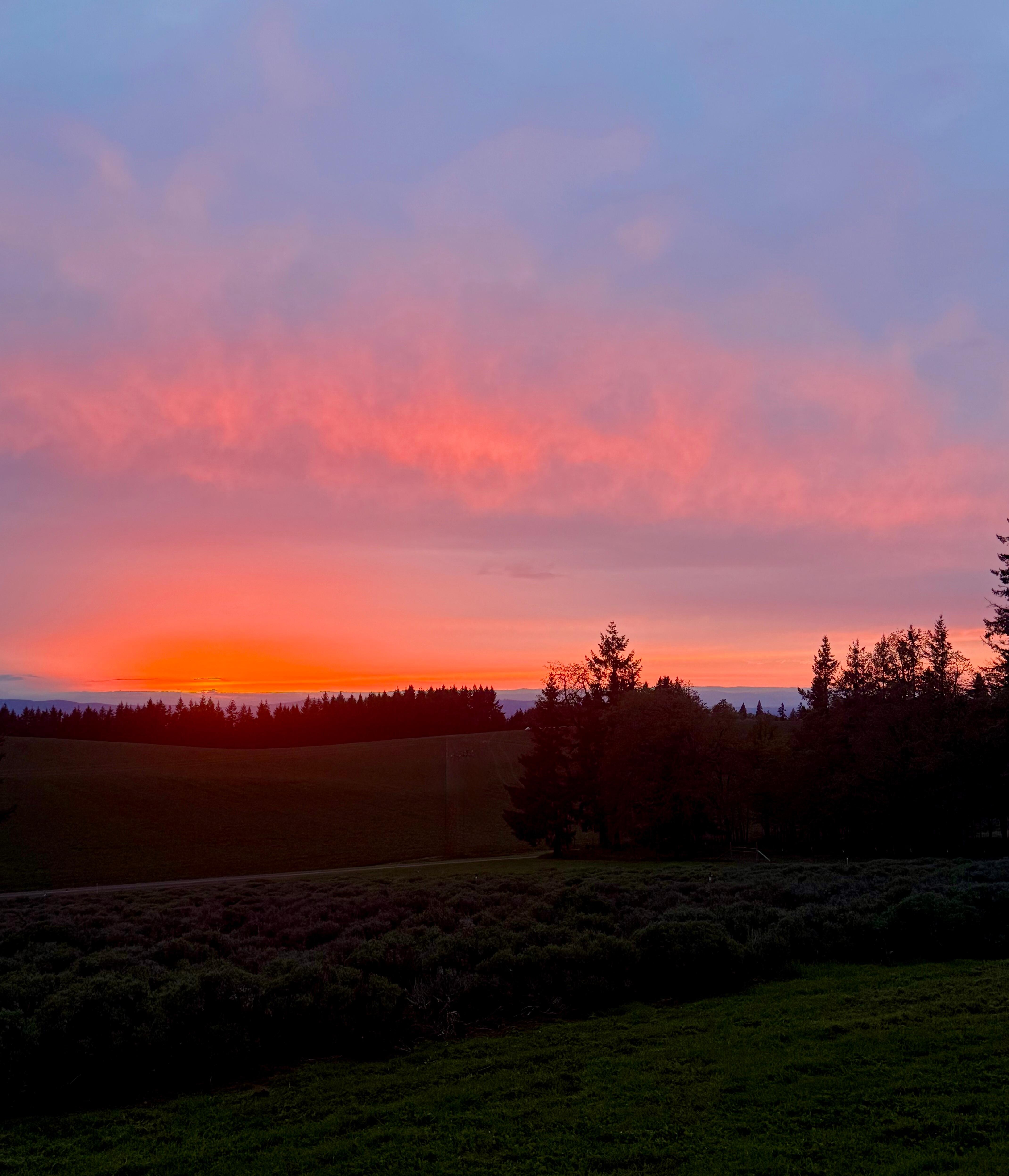 Sunset from the property