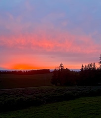 Sunset from the property