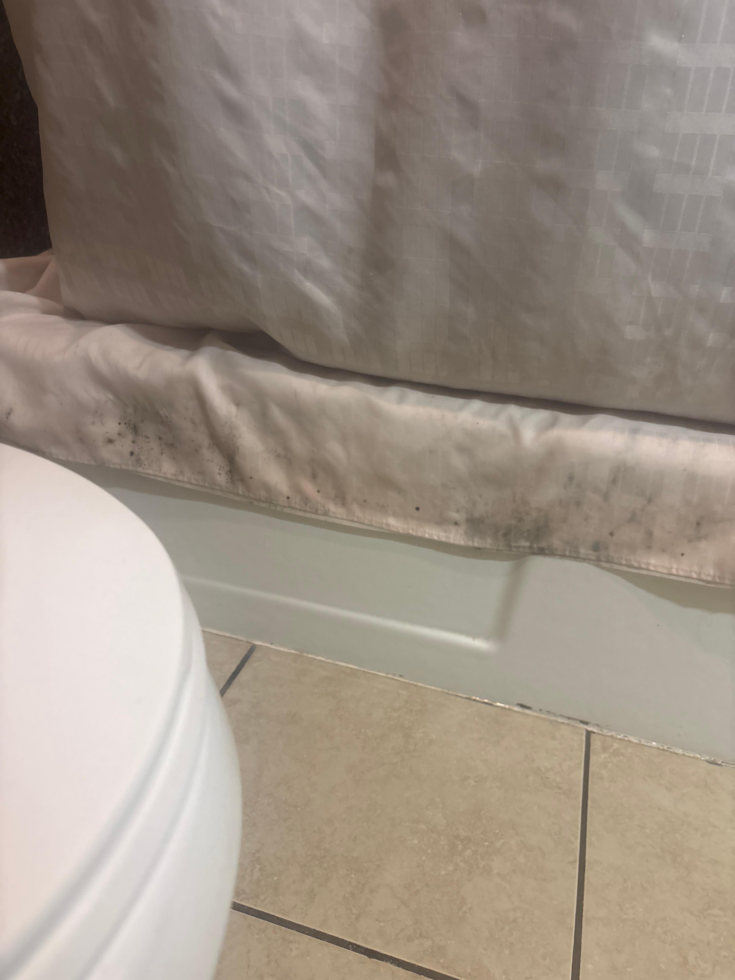 Molded shower curtain
