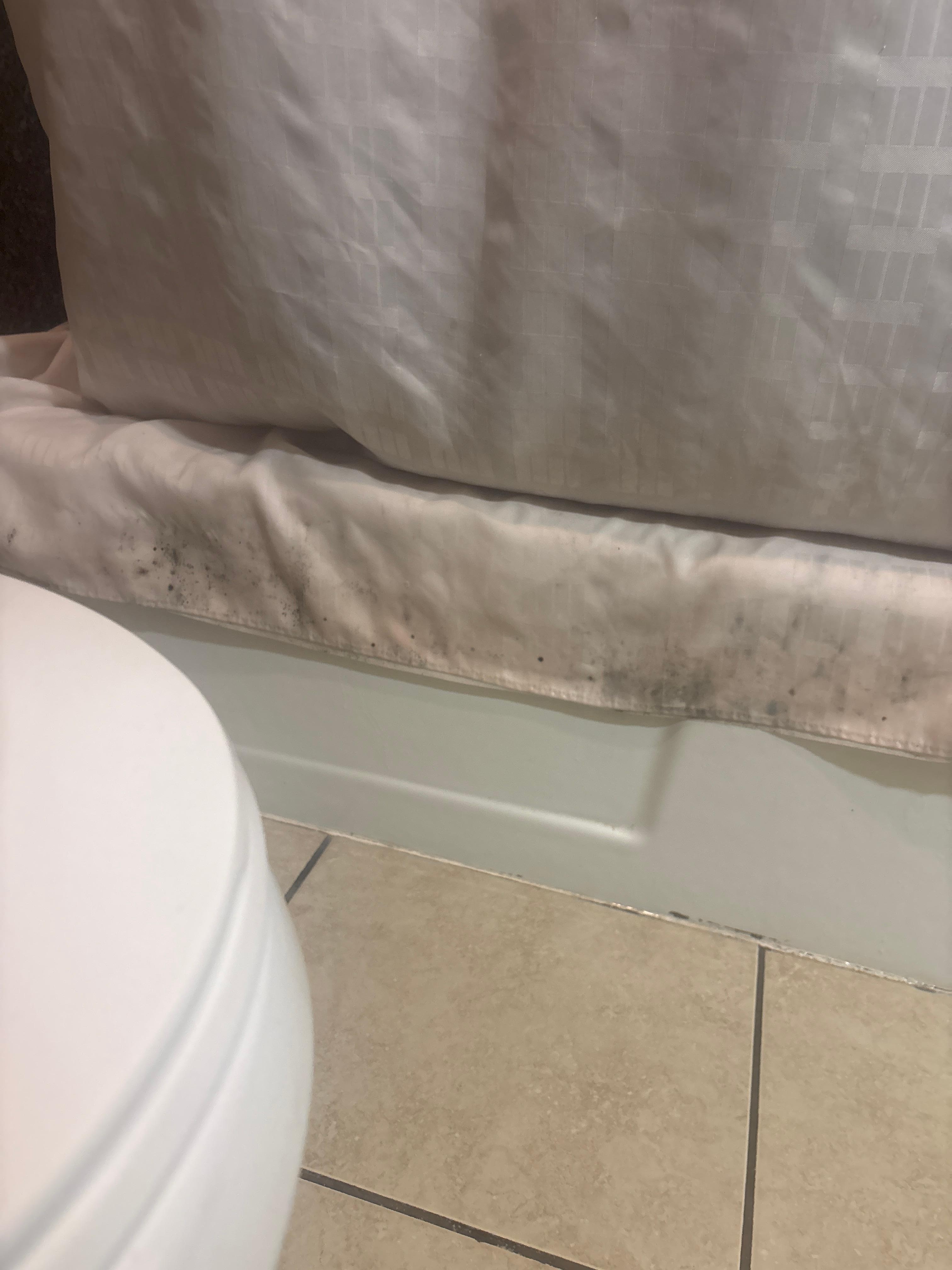Molded shower curtain