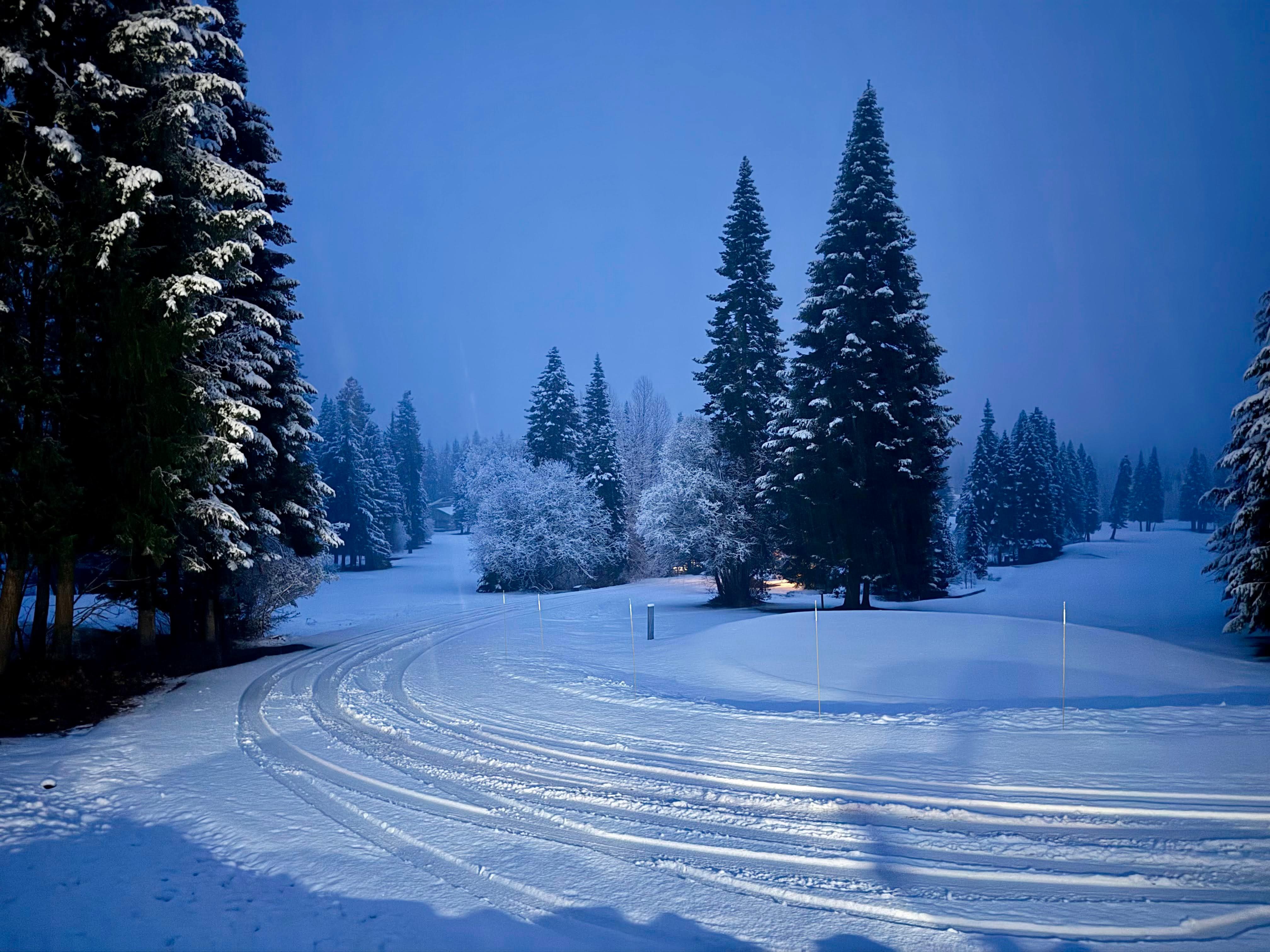 There was a snowstorm the night we got there, this was the view from the front porch. 