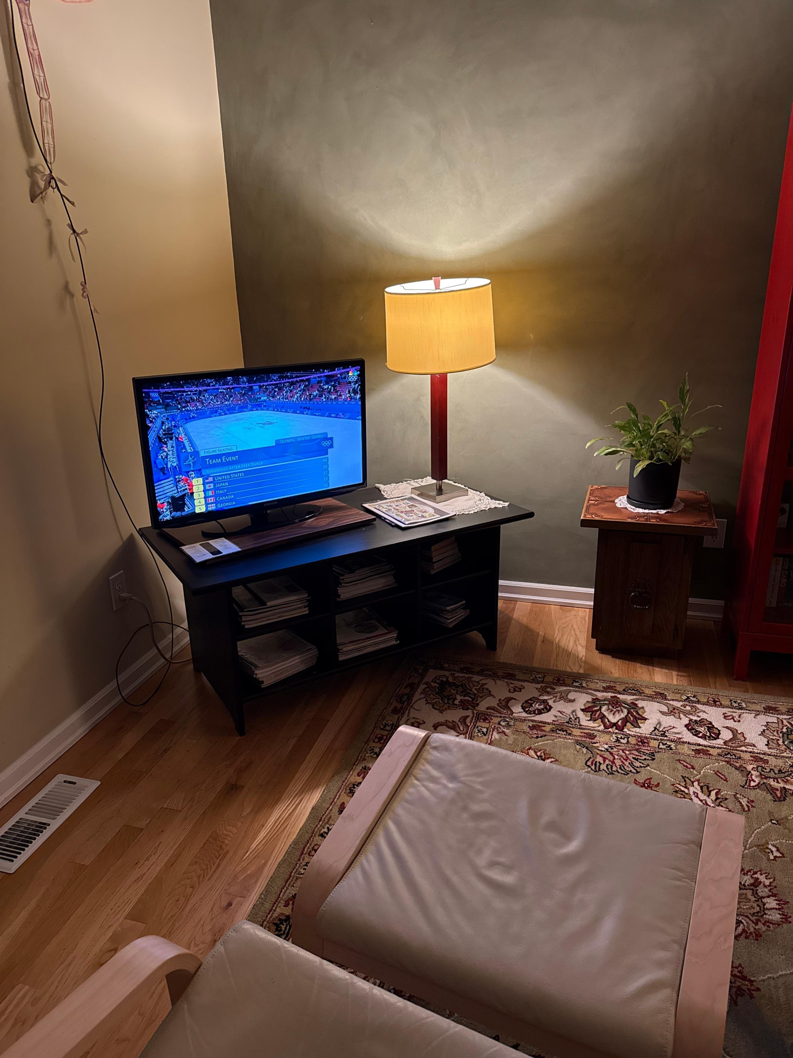 Watching the Olympics 