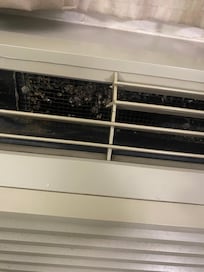 Mold