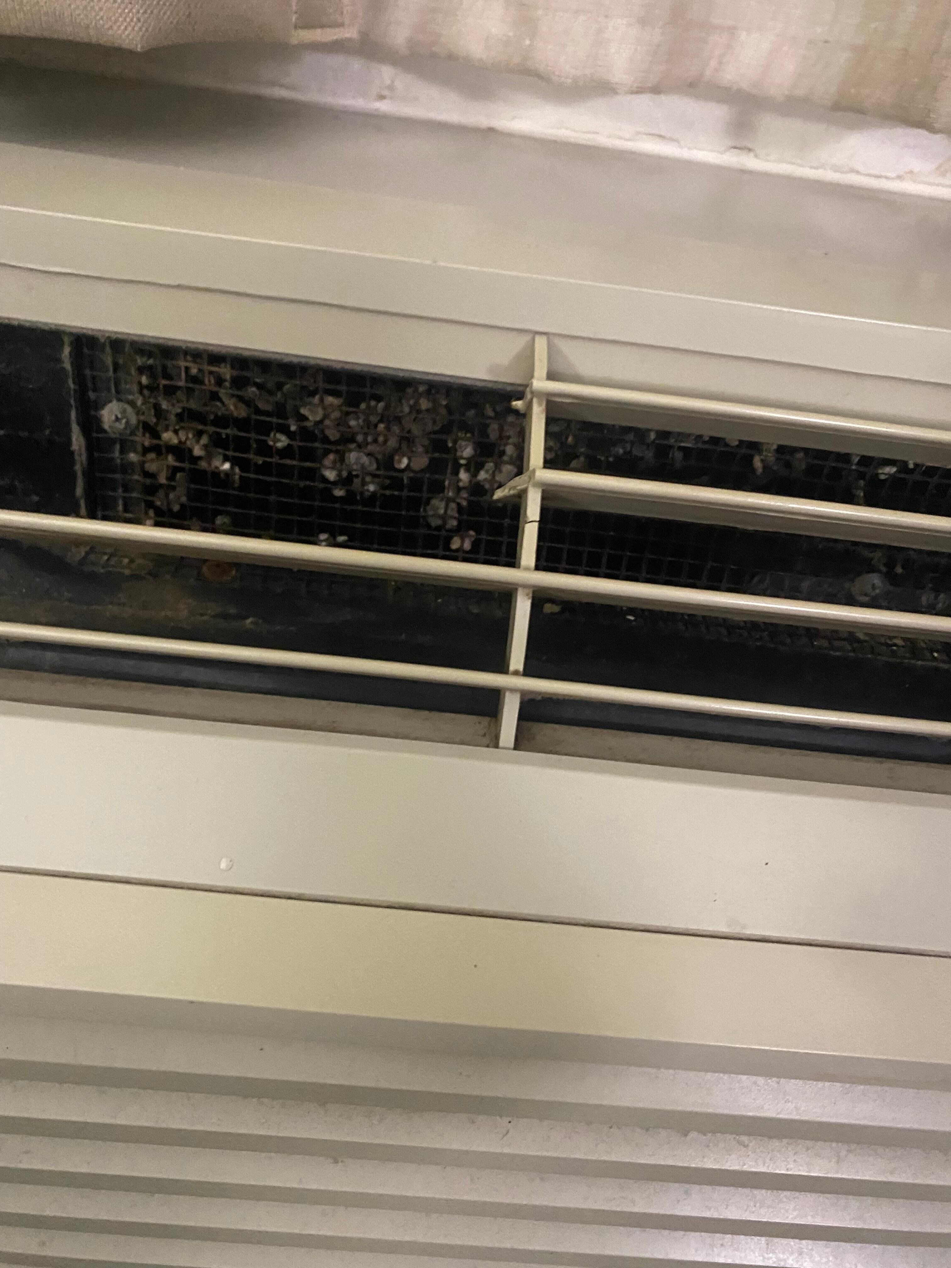 Mold